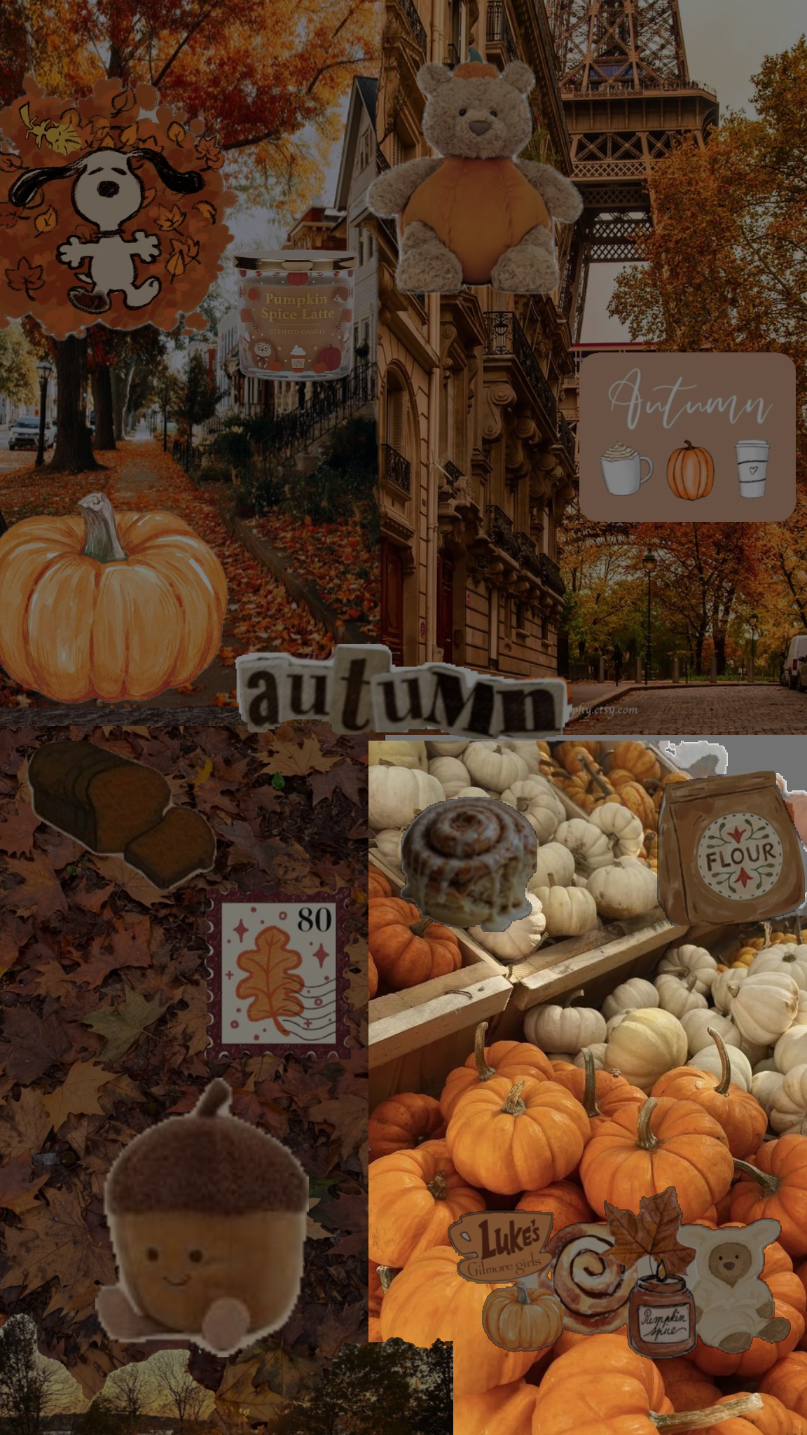 fall collection